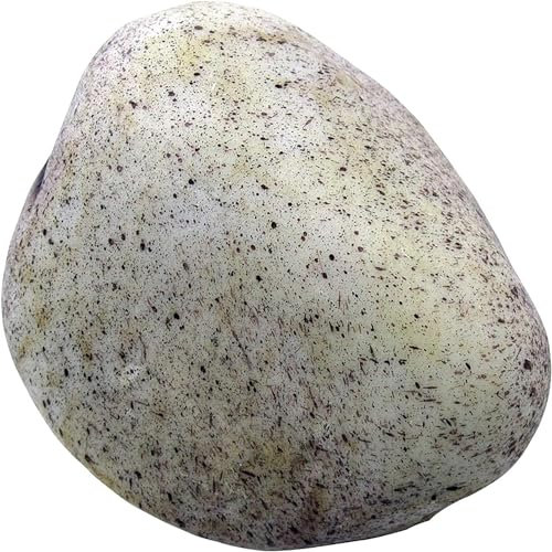 MmUnna Portachiavi in pietra imitazione cassaforte all'aperto finta pietra chiave nascondiglio per chiave esterna custodia per giardino cortile 1 articolo