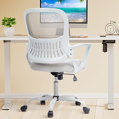 DUMOS Home Office Desk Chair - Ergonomic Mid Back with Lumbar Support & Fixed Armrest, Height Adjustable with Rocking Mode, Storage Back for Computer, Gaming, Conference, 360° Swivel, Grey