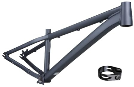 26 Inch Dirt Jump Frame Hardtail Aluminum Alloy, Mountain Bike DJ Frame 10x135mm Quick Release for MTB(26inch-Grey)