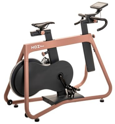 Kettler HOI Frame Indoor Bike – Profi-Heimtrainer mit elektromagnetischem Bremssystem, stufenloser Widerstands- und Sitzeinstellung, Herzfrequenzmonitor, Max. Benutzergewicht: 130 kg
