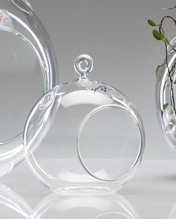 Sandra Rich 6er Set Glaskugeln mit Öffnung, Hängevasen Kugel D. 10cm Glas klar