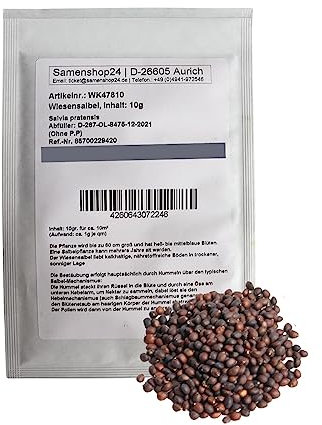 Samenshop24® Wiesensalbei, Salvia Pratensis, Inhalt: 10g (für 10 m²), (ca. 4000 Korn), Nektarspender für Hummeln und Insekten, mehrjährig, bis zu 60cm hoch, Premium-Saatgut