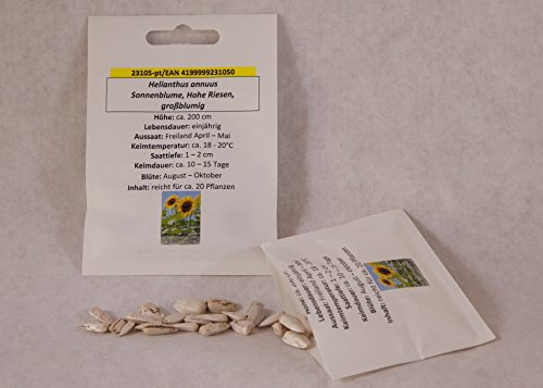 Sonnenblume Hohe Riesen großblumig Sonnenblumensamen Sonnenblumensaat für ca 20 Pfl. Riesensonnenblume