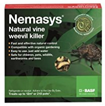 Nemasys Biological Vine Weevil Killer 12sqm