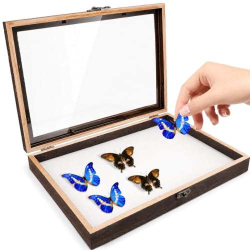 Cabilock Solid Pine Wood Entomology Display Case (12.2 x 8.7 x 1.6 in) - Butterfly Specimen Shadow Box with Clear Glass Top & EVA Pin Cushion Mat for Insects, Plants, and Jewelry