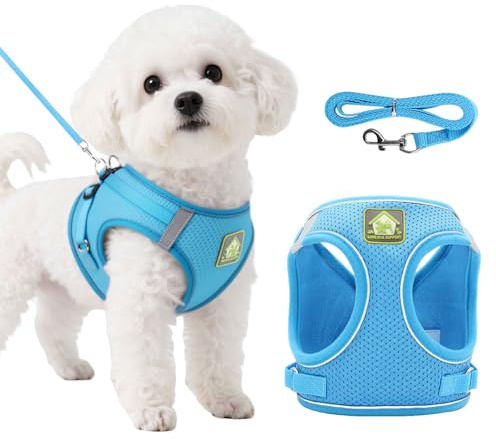 DOINEUFL Welpengeschirr, Hundegeschirr und Leine, weiches Netzgewebe, reflektierend, atmungsaktiv, leicht, Westen-Stil, Hundegeschirr mit Sicherheitsschnalle für kleine und mittelgroße Hunde, Katzen