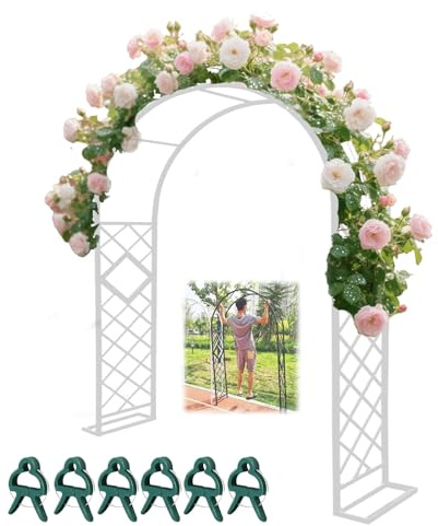 Pergola de jardin en acier résistant à la rouille - Treillis durable pour tomates et vignes - Fond de mariage et terrasse - Comprend une base et 6 clips de support pour plantes