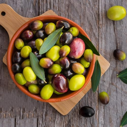 oliven baum - olivenbaum - zimmerpflanzen olive garten winterhart, deko wohnzimmer 12samen