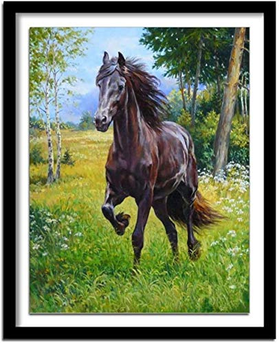 kreuzstich Set Kinder Anfänger-Zwei Pferde-11CT DIY stickbilder stickpackungen-Cross Stitch Handarbeiten Stickerei-Weihnachts Kunst Heimdekoration 40X50cm