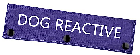 Reaktive Hundeleine, für nervöse Hunde, reaktives Hundepflaster (Hund reagierend)