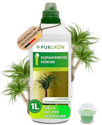 Purgrün® Elefantenfuß-Dünger 1 Liter – Spurennährstoffe für gesundes Wachstum – Extra Kalium fördert die Widerstandskraft – Ergiebiges Konzentrat für 200 Liter Gießwasser – Premium-Flüssigdünger