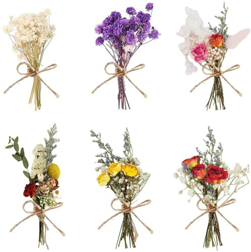 Dried Flower Bouquet, 6Pcs Mini Dried Bouquet, Natural Dried Flowers for DIY Craft Card Decoration Home Wedding Decor