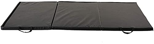 Sunny Health & Fitness Tri-Folding Exercise Mat – 2-Inch Extra Thick Gymnastics & Fitness Mat with Handles, Non-Slip, Water-Resistant Surface for Home Gym, Yoga, MMA, Stretching & Core Workouts