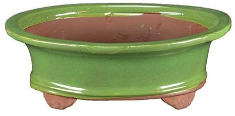 Ovale Bonsaischale aus grün glasiertem Steinzeug 21,5x18x6 cm - GA3
