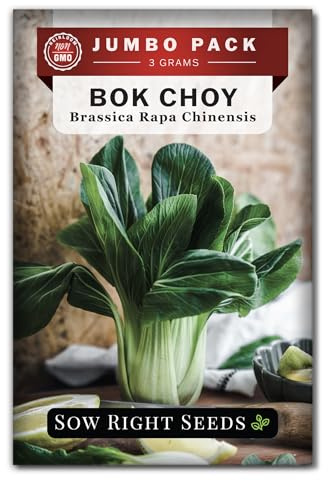 Sow Right Seeds - Bulk Bok Choy Seeds for Planting - Pak Choi or Chinese Cabbage - 3 Grams, 1200 Seeds - Non-GMO Heirloom Jumbo Pack Variety to Grow Outdoors in Vegetable Garden or Hydroponics Indoors