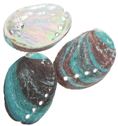 LOORGVEL Abalone Muschel Räucherschalen Geeignet als Dekoration und Halter für Heilige Gegenstände aus Natürlicher Muschel 3 Stück für Verschiedene Anwendungen im Zuhause