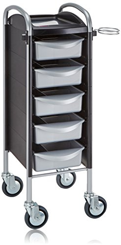 Efalock Piccolo Original 6002, stabiler und langlebiger Friseur Arbeitswagen Salon Trolly Rollwagen Stapelboy mit 5 Schubladen und Rollen, Silver & Black