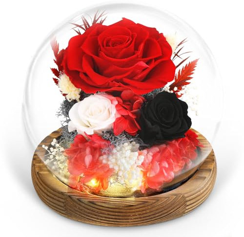 Ewige Rose im Glas mit Licht,Konservierten Blumen,Infinity Rose Geschenke mit LED-Licht,Kleine Geschenke für Frauen und Oma,Muttertag,Geburtstagsgeschenke für Valentinstag Geburtstag Weihnachten