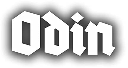 Aufkleber/Sticker Odin Namen Schriftzug Wikinger Germanen Gott 10x4cm A588