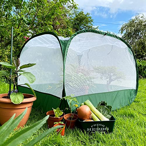 Insect Mesh Fruit Cage Cloche for Growing Vegetables | Pop Up Garden Netting Greenhouse Plant Cover for Veg Patch Crop Protection Raised Beds Planters Allotment (1x1x0.75m H, Pk 2)