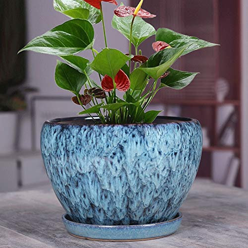 Chinese Style Indoor Succulent Green Plant Pot Ceramic Flower Pot Extra Large Chlorophytum Green Plant Flower Pot Indoor Decorative Garden Flower Bonsai Pot for Aloe Orchid and Succulent Plants