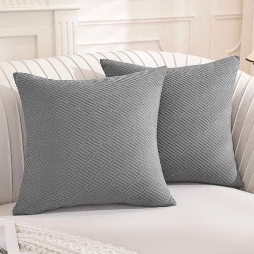 YSTELLAA 2 Pezzi Federe Cuscini Divano 45x45, Fodere Cuscini Minimalista Traspirante, Copricuscino Cerniera Invisibile, Copricuscini Decorativo, Divano Soggiorno Camera Da Letto, Grigio Chiaro