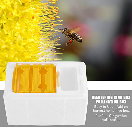 KIMISS Bienen-Starter-Set Garten Landwirtschaft Ernte Biene Bienenzucht King-Box Bestäubungsbox Bienenzucht-Werkzeug Paarung Nuc Bienenzucht