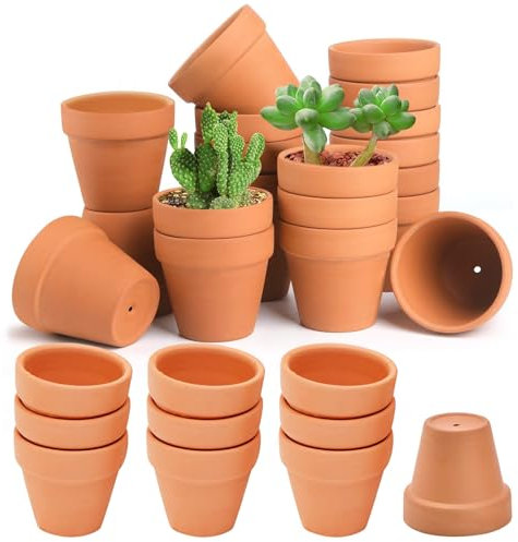 HDKAJL 4.8cm Durchmesser Tontöpfe Klein, 30 Stück Mini Blumentöpfe, Kleine Tontöpfe zum Basteln Terrakotta mit Abflussloch für Sukkulenten Kaktus Innen Außen Hauspflanzen