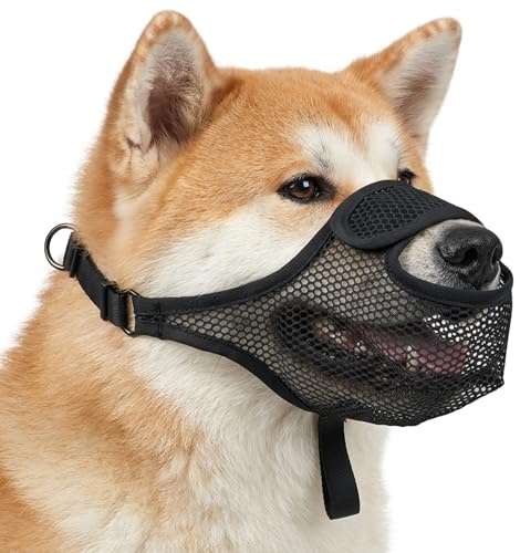 IUSOT Maulkorb für Hunde Kleine Mittlere Große Hunde - Atmungsaktiver Giftköderschutz Hund Mesh Beißschutz Muzzle - Verstellbare Maulschlaufe Fressschutz gegen Bellen - für Labrador Chihuahua