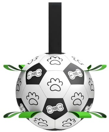 Hundeball, lustige Spielsets, Trainings-Fußball – für Outdoor-Park-Training, Spielzeit, Familienübung, Erholung