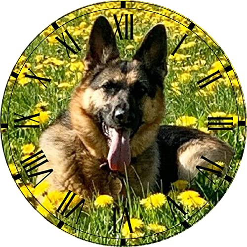 Unique Personalised Photo Clock - Your Image Printed on the Clock - Size 30cm Circle Silent Wall Mountable with Roman Numerals - Memories, Family, Pets, Cars - Beautiful Gift