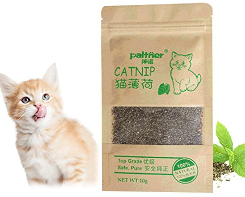 SEMINISMAR Catnip,Catnip Essiccato,Catnip Fresco,Catnip Giocattolo per Gatti, Catnip Giocattolo, Catnip Organico, Erba Gatta, Erba Gatta per Gatti, da Usare Come Snack o Giocattolo per Gatti,10g