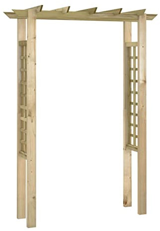 Festnight Arche à Rosier Tonnelle de Rose en Bois Imprégnés 150 x 50 x 200cm 200 x 200 x 200cm