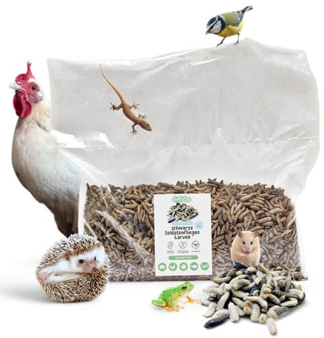 EntoZoo - Gefrorene Schwarze Soldatenfliegen Larven Black Soldier Fly Futterinsekten, Vogelfutter, Igelfutter, Fischfutter, proteinreicher Snack für Reptilien Made in Germany (4 Kg)