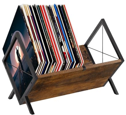 Ayrirel Record Storage Rack, 80 LP Metal & Wood CD Storage Holder, 1 Tier Vinyl Display Shelf with Adjustable Divider Organizer for Vinyl Records, CD, Magazine, Book, Files
