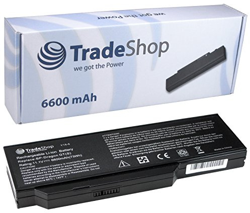 Hochleistungs Notebook Akku 6600mAh für Medion MD96958 MD97102 MD97226 MD97228 MD97320 MD97377 MD97449 D97526 MD98100 MD96327 MD96398 MD96418 MD-96144 MD-96217 MD-96287 MD-96305 MD-96363 MD-96380