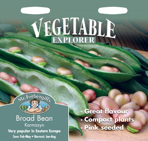 Mr Fothergill?s Seeds Ltd 18251 Vegetable, Broad Bean Karmazyn (Pink Seed)