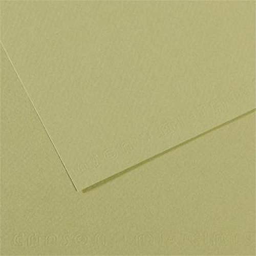 Canson 200321164 Mi-Teintes Künstlerpapier, 160 g/qm, 50 x 65 cm, hellgrün