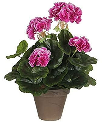 Mica decorations 950216 Blumen, Geranium großen, violett
