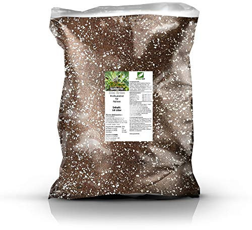 GREEN24 Palmenerde Profi Linie – 10 Liter Premium Substrat für Zimmer- und Freilandpalmen - Strukturstabil, optimale Drainage. Für alle Arecaceae.