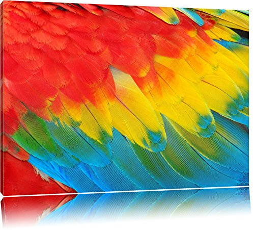 Pixxprint Bunte Papageien Flügel, Größe: 120x80cm, Leinwandbild, fertig gespannt, Wandbild, Dekoration, Kunstdruck, kein Poster