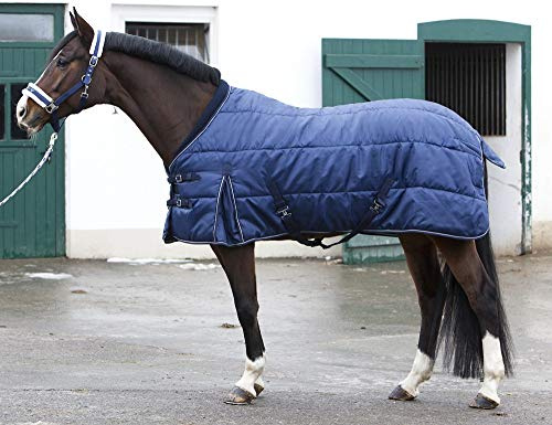 PFIFF 101672 Pferde Stall Decke Orlando, Winterdecke Pferdedecke Stalldecke, Blau 165 cm