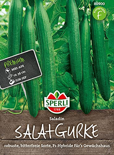 Salatgurken, 'Saladin F1'