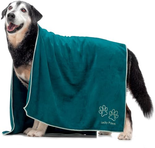 Lucky Paws® Hundehandtuch - 140x70cm XL Hundehandtuch extra saugfähig - schnell trocknend, luxuriös weiches Hunde Handtuch Hundebesitzer und Hunde Zubehör (1er-Pack, Teal)