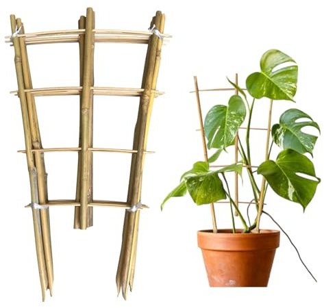 Rankgitter aus natürlichem Bambus, 40,6 cm, für Kletterpflanzen, 6 Stück, Pflanzenleiter, Rankgitter mit Gartenbändern, dekorative Pflanzenstützpfähle für Reben, Blumen, Gemüse