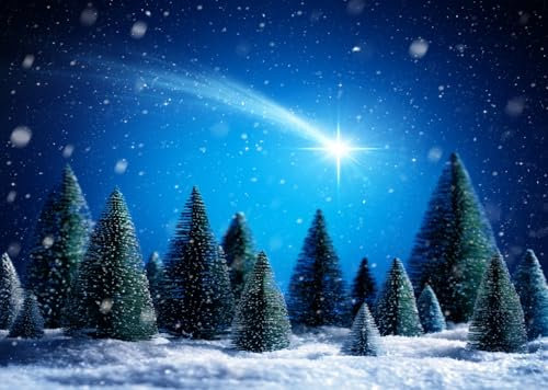CORFOTO 2.5x1.8m Weihnachtsstern-Hintergrund,Winter,verschneite Nacht,Schnee,Kiefer,Weihnachtsbäume,Hintergrund,Weihnachtsdorf,Fotografie,Hintergrund,Weihnachtsparty,Dekoration,Hintergrund