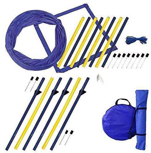 Procyon Dog Agility XXL-Set