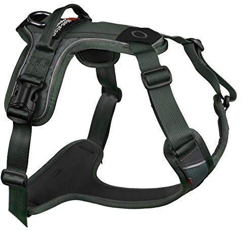 Non-Stop dogwear Ramble Harness |Green| Führ und Alltagsgeschirr, Größe:M