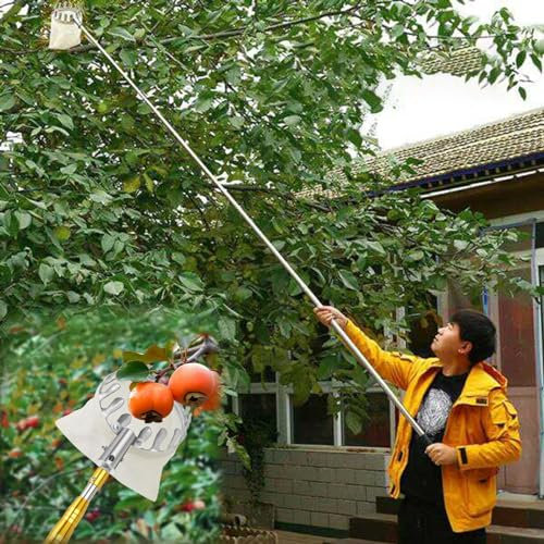 raccogli asparagi pinza frutta 2.5 6 7 10 M Strumento Di Raccolta Frutta Estensibile Con Borsa, Albero Di Frutta Leggero Grabber Palo Di Estensione/ Raccoglitore Per Ottenere Agrumi, Pesche E Mele, Pa