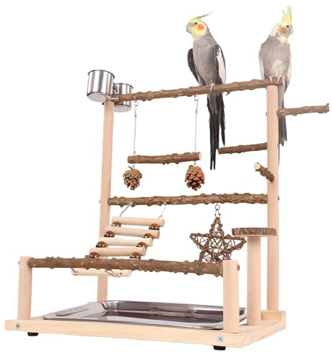 CHSEEO Vogelspielplatz Wellensittich Spielplatz Spielzeug, Großer Vogel Spielplatz mit Schaukel Sitzstangen Leiter & Vogel Zubehör wie Tablett und 2 Futternäpfe, Vogelbaum für Papageien Kanarienvogel